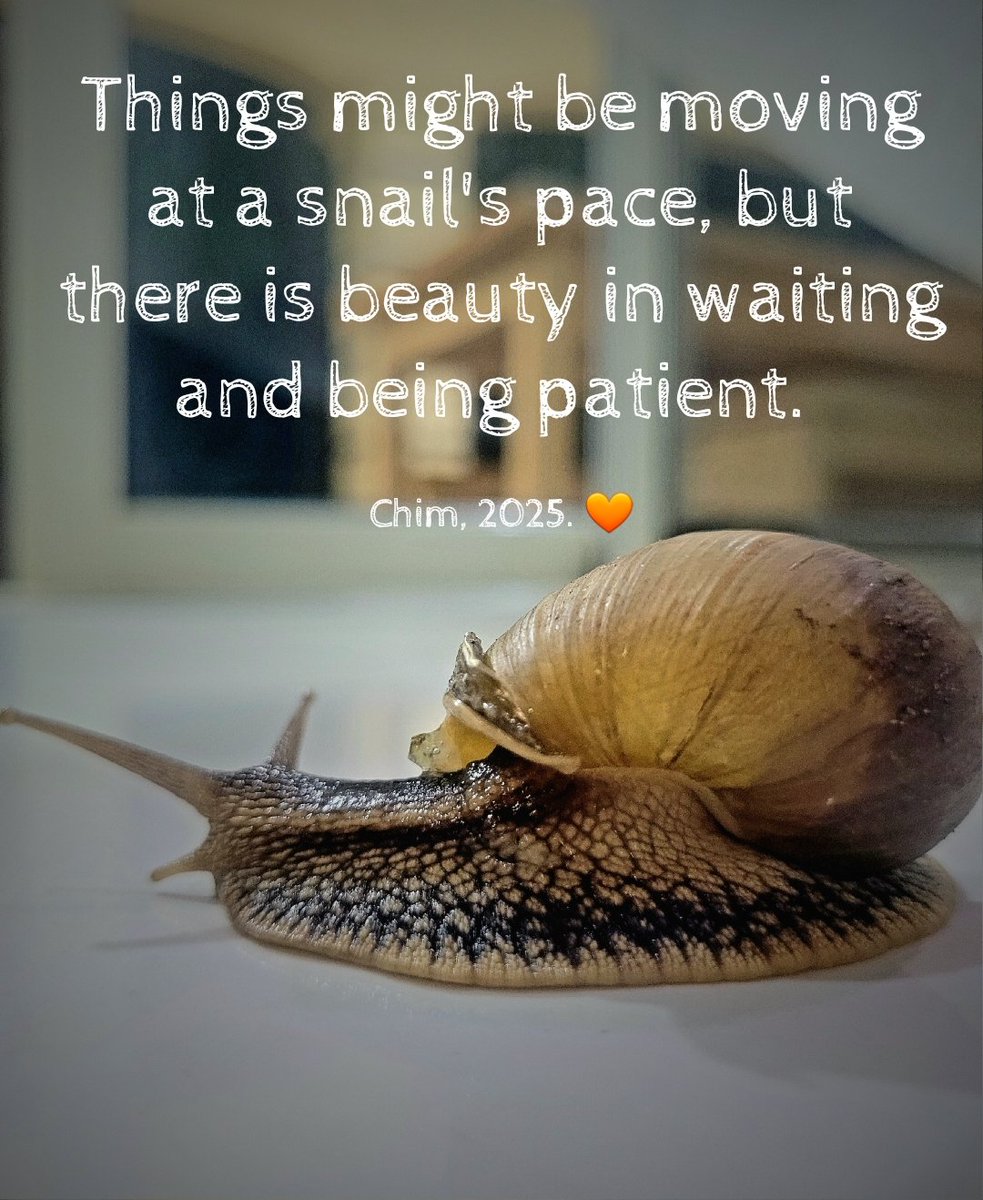 Chim Chalemera (@chimchalemera) on Twitter photo 