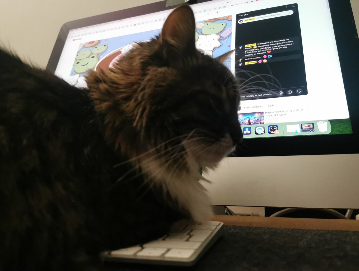 Lofi Velvet tweet media