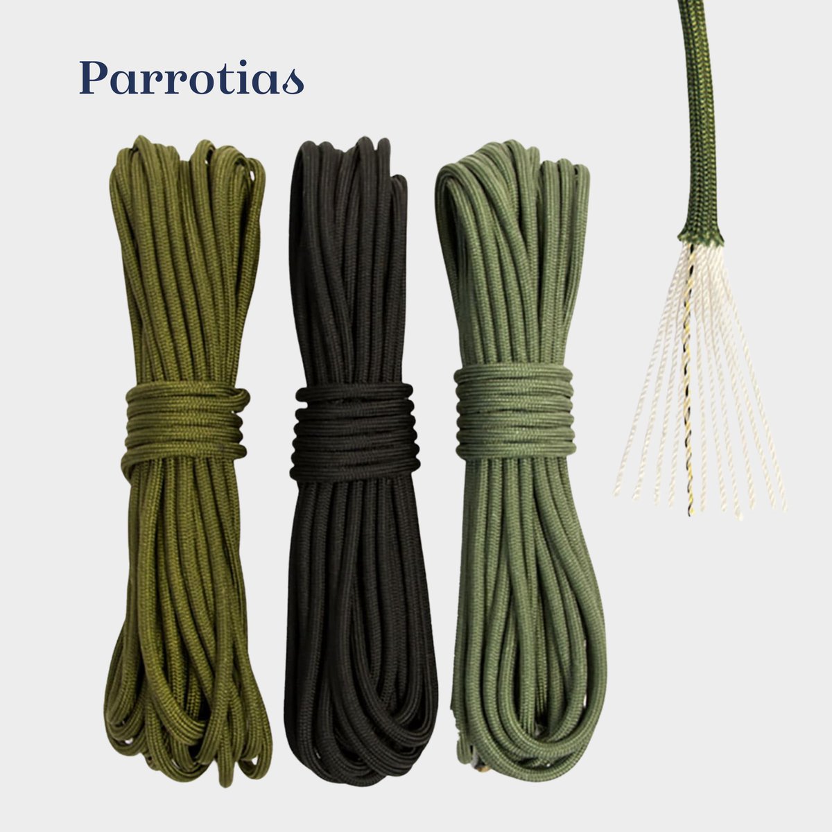 Parrotias's tweet image. 💥 Enhance Your Life with Safety and Functionality Using the New Paracord Cord! 💥
#paracordrope #rope #parrotias #ppe #hse