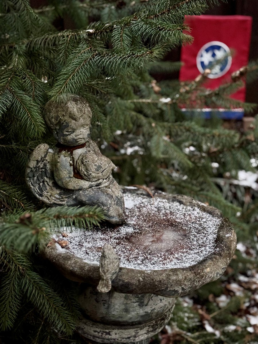 WCTNEMA's tweet image. Crews responded Monday to 73 wrecks from 6 pm to midnight. Roads are better, but it is cold enough to freeze the bird bath &amp;amp; some roads have slick spots. SLOW DOWN; leave space between other cars. Local crews are treating the roads, and @myTDOT salted I-840 with 4 salt trucks.