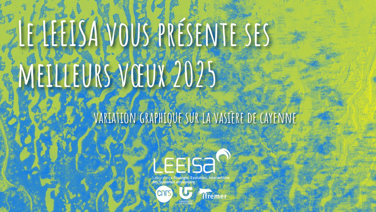 Le LEEISA <a href="/CNRSecologie/">CNRS Écologie & Environnement</a> @univguyane <a href="/Ifremer_fr/">Ifremer 🌊</a> vous souhaite une bonne année 2025. Et pour mettre la mer à l'honneur, une variation graphique inspirée d'une prise de vue drone de la vasière de Montabo à Cayenne. Plus d'info par ici  ➡️ leeisa.cnrs.fr/actualite/le-l…