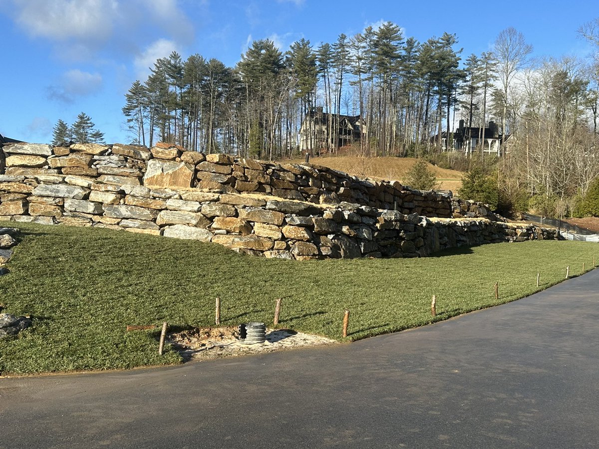 Matt Sorrell tweet media