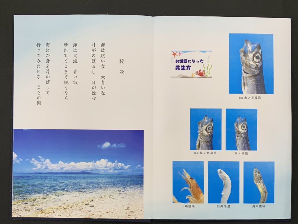 がっこうのいぬ👼 tweet media