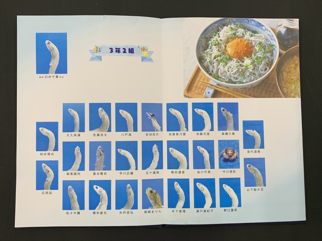 がっこうのいぬ👼 tweet media