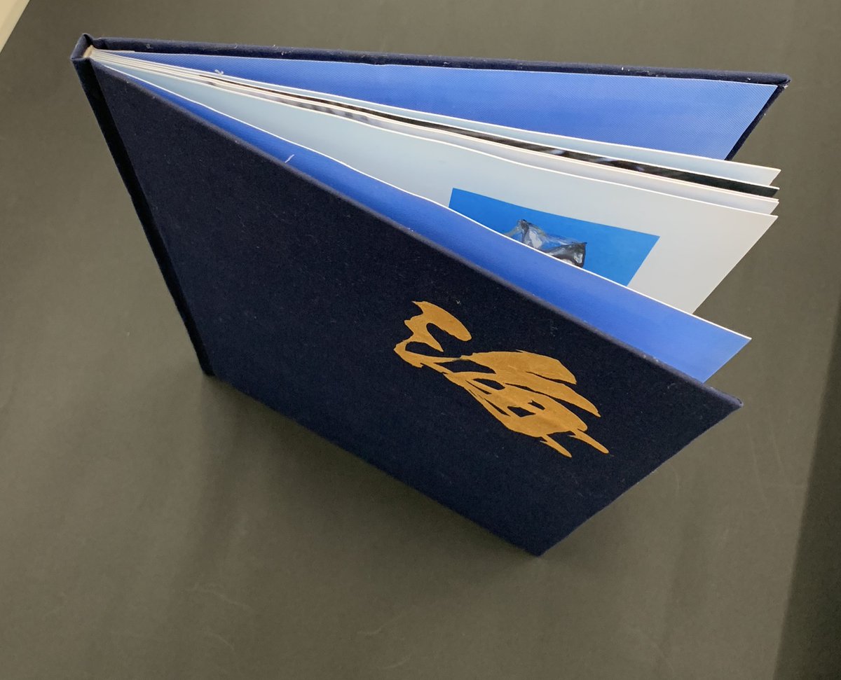 がっこうのいぬ👼 tweet media