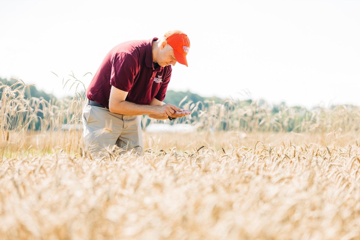 Virginia Tech CALS (@vtcals) on Twitter photo The <a href="/allianceforcsa/">Alliance to Advance Climate-Smart Agriculture</a> enrolled 1,300 farms on 202,000 acres in its first year. Funded by an $80M <a href="/USDAgov/">Dept. of Agriculture</a> grant, the program helps producers adopt sustainable practices.
Read more ➡️ brnw.ch/calscsa The <a href="/allianceforcsa/">Alliance to Advance Climate-Smart Agriculture</a> enrolled 1,300 farms on 202,000 acres in its first year. Funded by an $80M <a href="/USDAgov/">Dept. of Agriculture</a> grant, the program helps producers adopt sustainable practices.
Read more ➡️ brnw.ch/calscsa