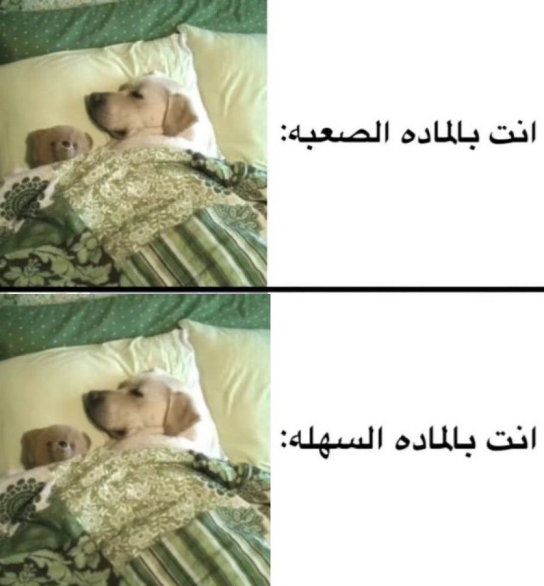 Arab Memes (@arabmemesss) on Twitter photo 