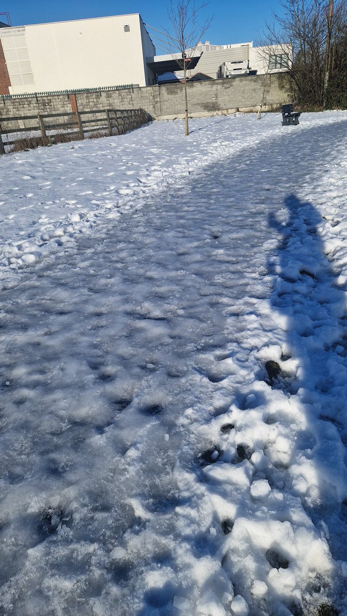Carmelloo's tweet photo. @TipperaryCoCo The paths and park in Thurles are deadly with ice now. They should be gritted. There are plenty of pedestrians out and about, so not just the roads that need to be looked after. https://t.co/kcYIRdac2Z