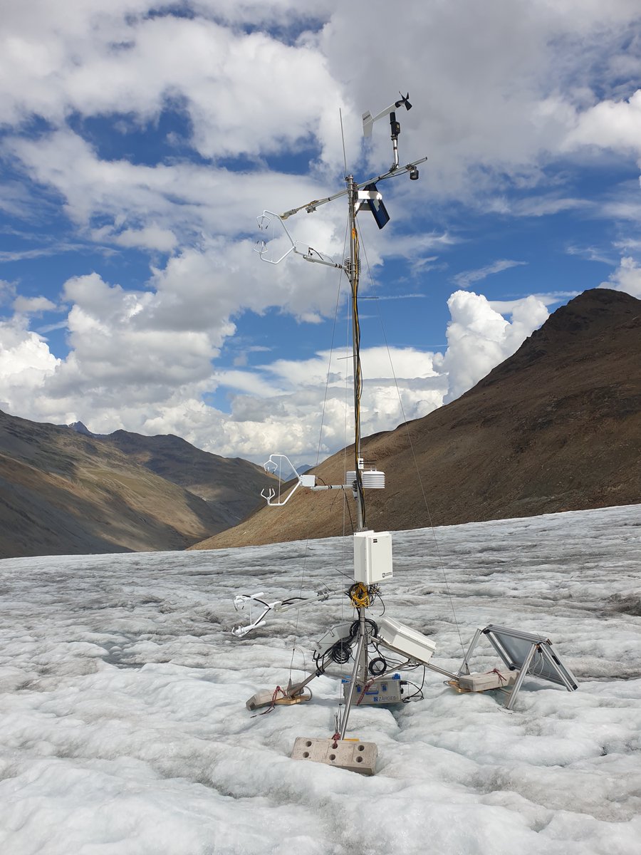 Lindsey Nicholson tweet media