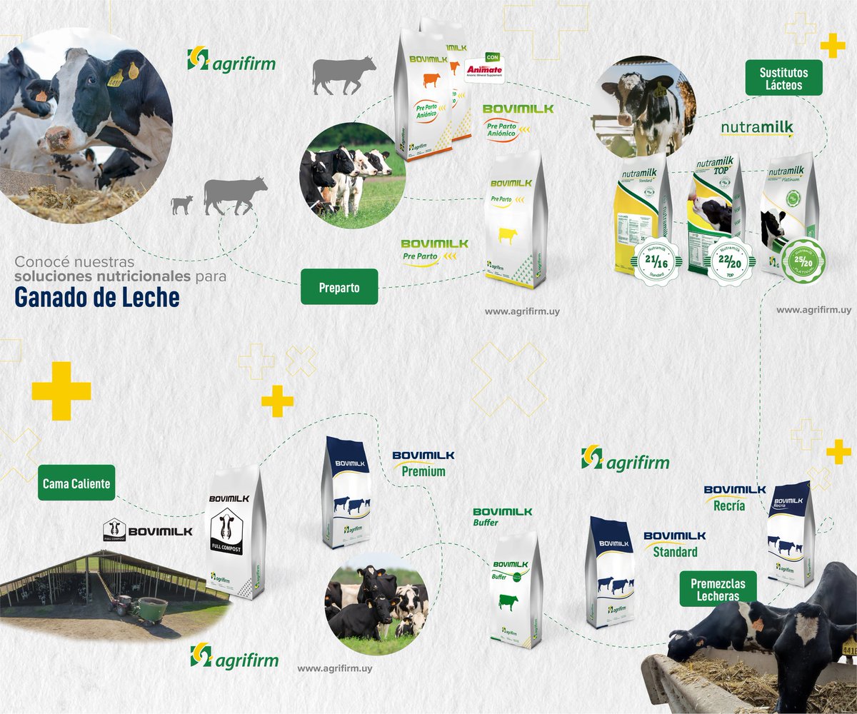 agrifirmuy's tweet photo. "La nutrición animal en Uruguay es #AgrifirmUY 🐄🥛
Lideramos con productos de calidad, controles estrictos y soluciones integrales para #Lechería:
✅ #Prepartos
✅ #Críadeterneras
✅ #Sustitutoslácteos
✅ #Recría
✅ #Camacaliente
✅ #vacasaltaproduccion
¡Contactanos! 🤝 https://t.co/Q4oJmpeZvI