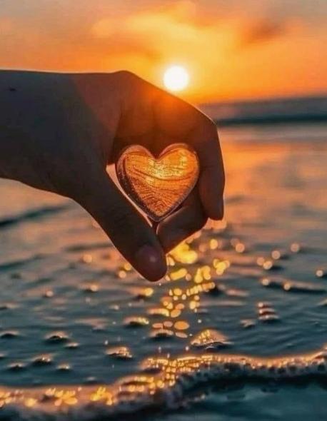 mehtap_gibi's tweet photo. Akşamınız iyi olsun💫

Huzurla🤎 https://t.co/KmDmHlwa9H