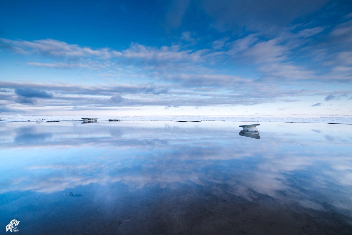 yuya_f2_8x's tweet image. 親バカ系フォトグラファーの林　祐也です💁🏻

冬は流氷風景をメインテーマにしています！
今年の流氷が南下し始めているそうです！
いいね、リポスト飛んで喜びます🥳

育児中のため2025年も過去作が中心になりますが、どうぞよろしくお願い致します！…