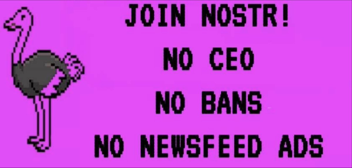 primal_app's tweet image. New to Nostr &amp;amp; want to build a following? 

Here's how 👇