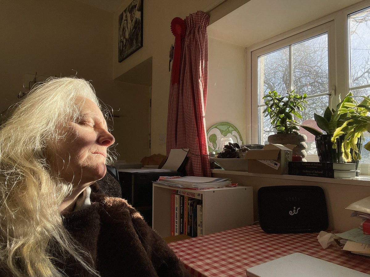 ZwartblesIE's tweet image. It can weigh heavy on one’s soul.
Unless one tries to see it as a time for needed rest&amp;amp;rejuvenation in preparation for those longer days. 
I’ve found when sunlight’s bright,if I face into it close my eyes for 10/15 minutes it helps get through drudgery of short days&amp;amp;long nights