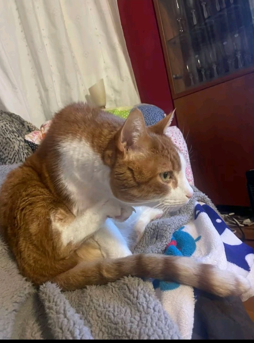 Bruder ich weiß doch auch nicht