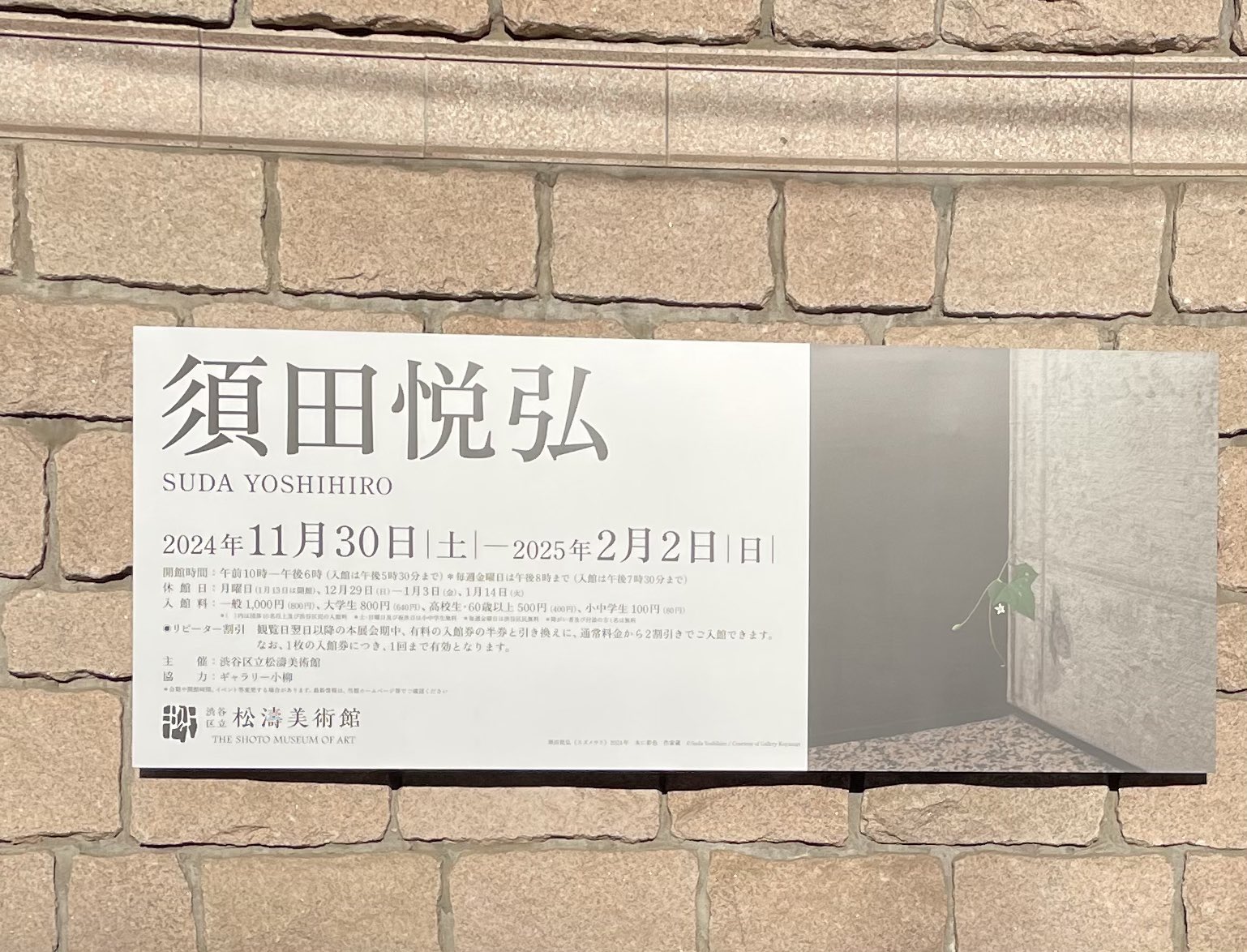鈴木伊美 / Yoshimi Suzuki (@imiglass_s) / X 鈴木伊美 / Yoshimi Suzuki (@imiglass_s) / X