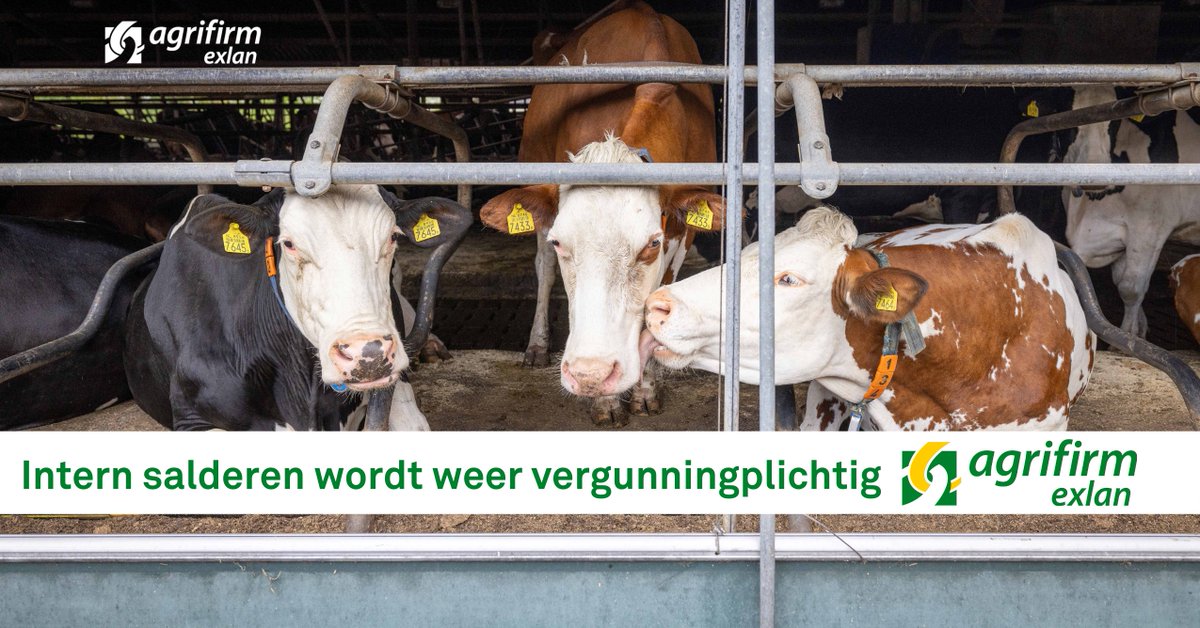 Agrifirm's tweet photo. De Raad van State heeft op 18 december twee uitspraken gedaan -met ingrijpende gevolgen- over de natuurvergunning voor twee bedrijven. De belangrijkste conclusie van deze uitspraken is dat het toetsingskader voor intern salderen wijzigt. Lees meer 👉https://t.co/y0NP3SBJpn #Exlan https://t.co/AqGc1W75Uw