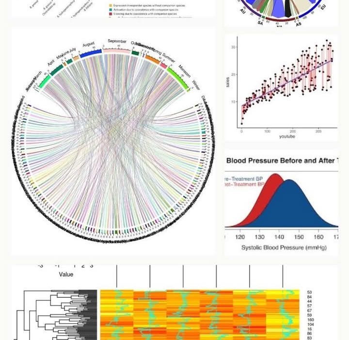 Dr.princessesAliza tweet media