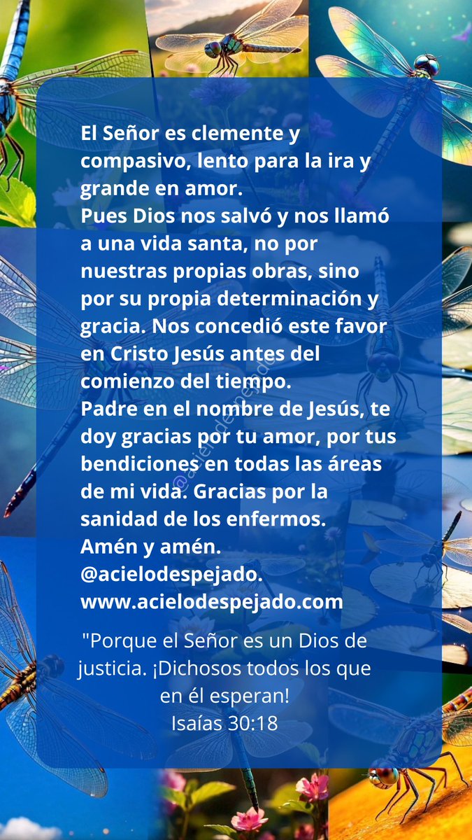 Edith (@neuroedimorusa) on Twitter photo 