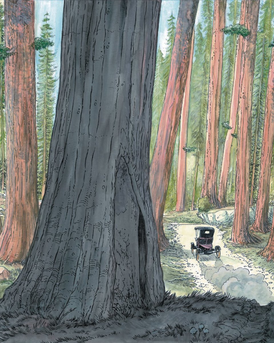 Grand Angle tweet media