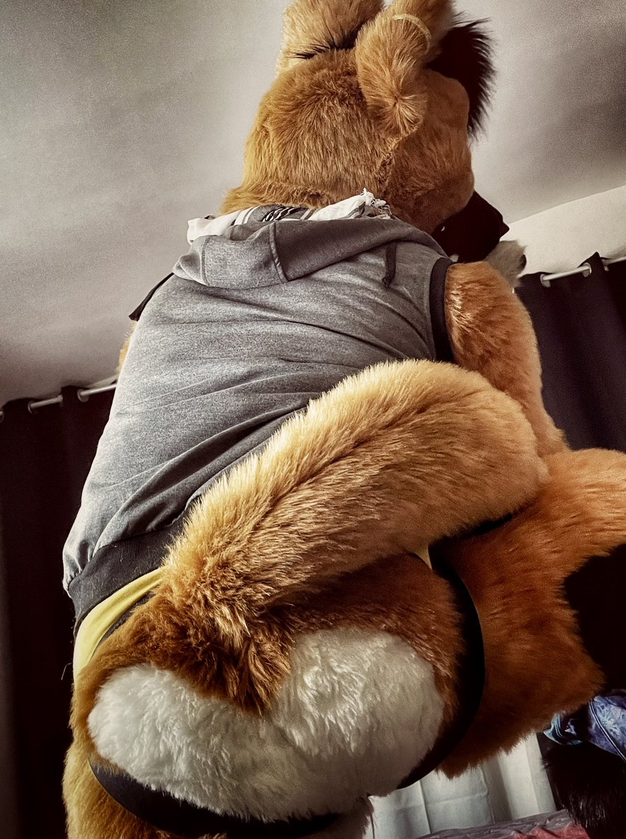 The_Foxy_Apollo's tweet photo. Do you see the heart ♥️! @MadeFurYou https://t.co/uRcPdyA0qd