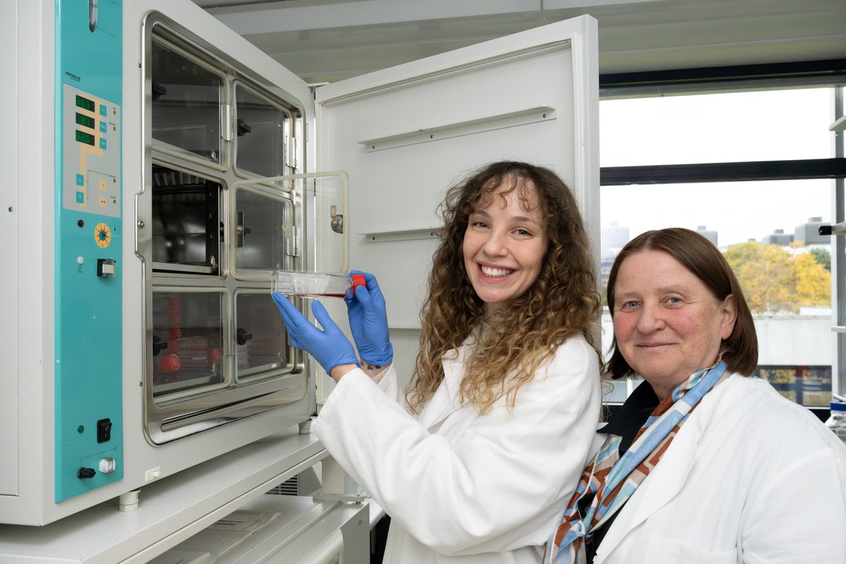 Science starting up: Frauke Alves &amp; Nathalia Ferreira from the Translational Molecular Imaging research group are on a mission to quickly bring innovative nanoparticles to patients through their spin-off. Read the interview in our #INSIDENAT 4/24: 👇
mpinat.mpg.de/4875374/INSIDE…