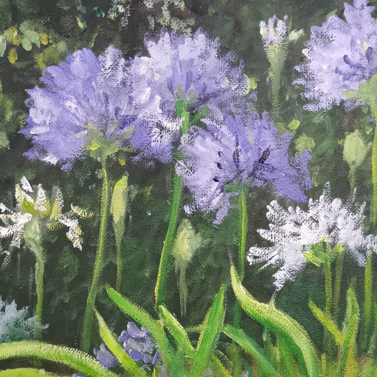 Cristina del Rosso tweet media