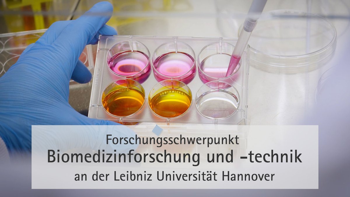 Von Implantaten, Krebsscannern und innovativen Medikamenten: Ein neuer Film zeigt die Aktivitäten des Forschungsschwerpunkts Biomedizinforschung und -technik an der #LUH. uni-hannover.de/de/universitae…