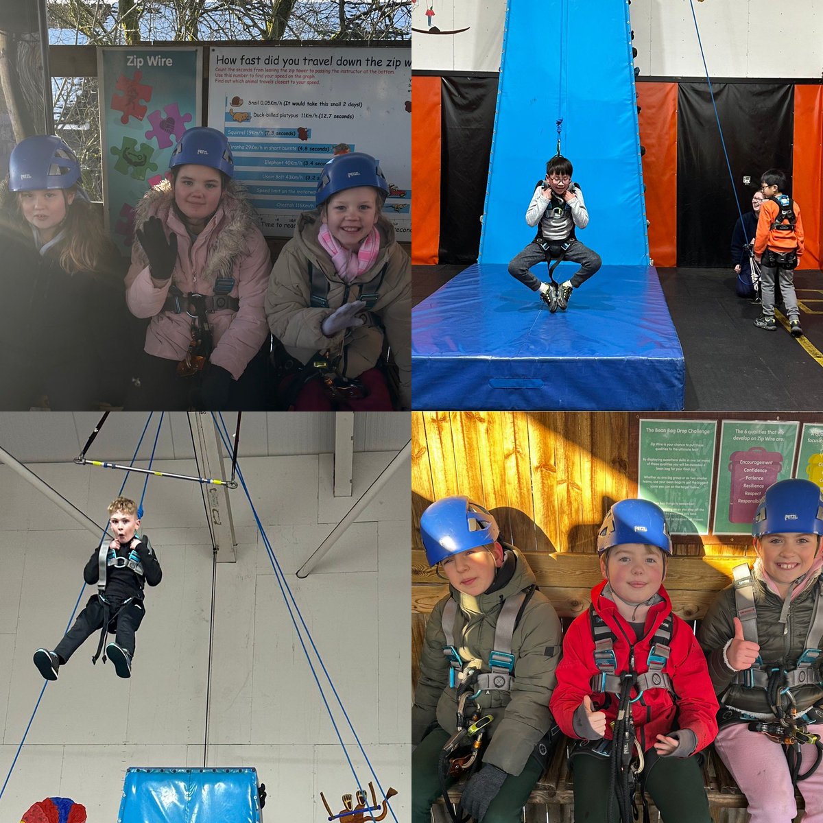 FountainPSLeeds's tweet photo. Braving the zip line, trapeze and the infamous @RealRobinwood piranha pool this afternoon 🐟 💙 #learningattheheart https://t.co/N1O3Qi4KHp