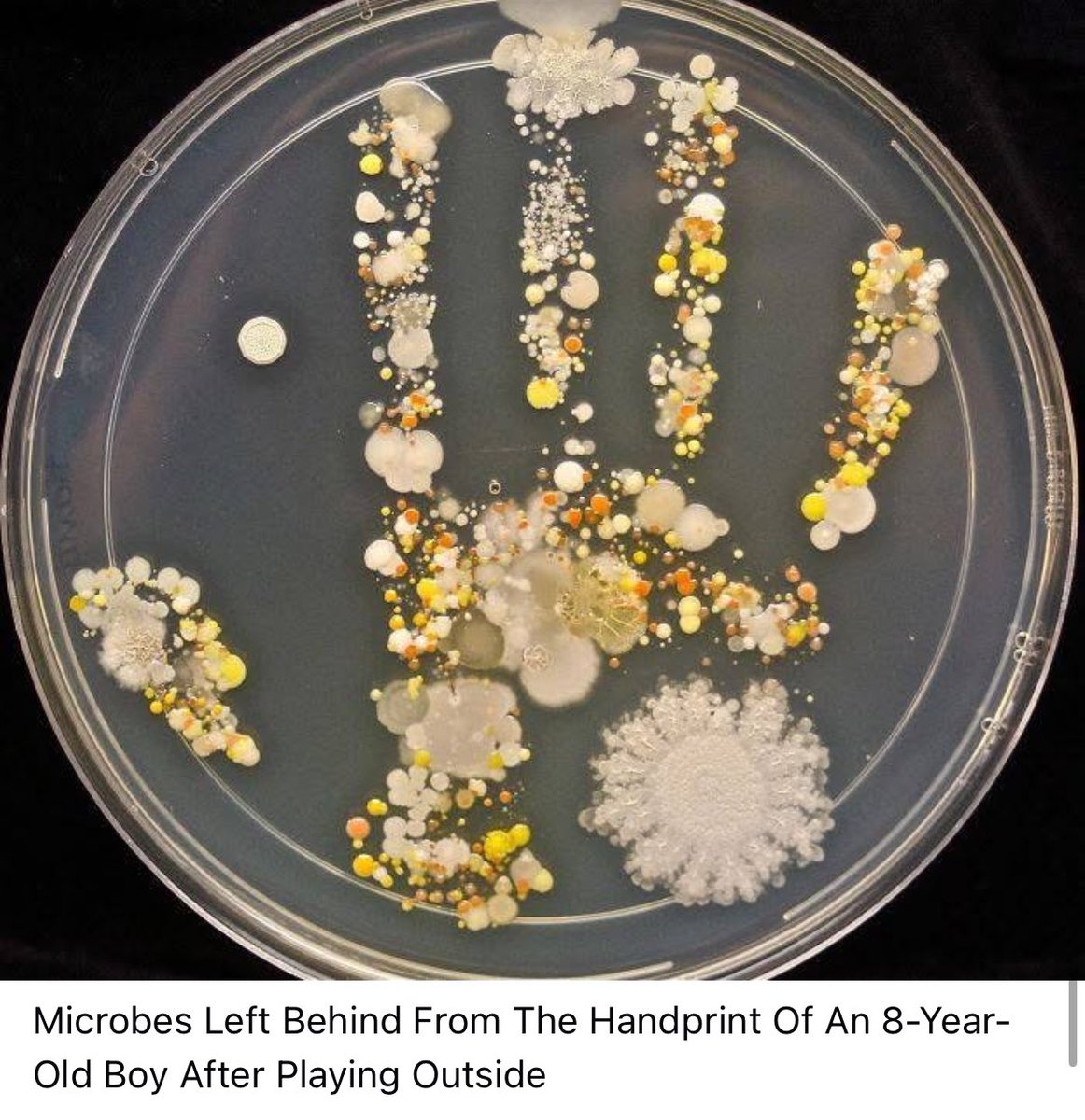 imkongla's tweet image. Imagine that!