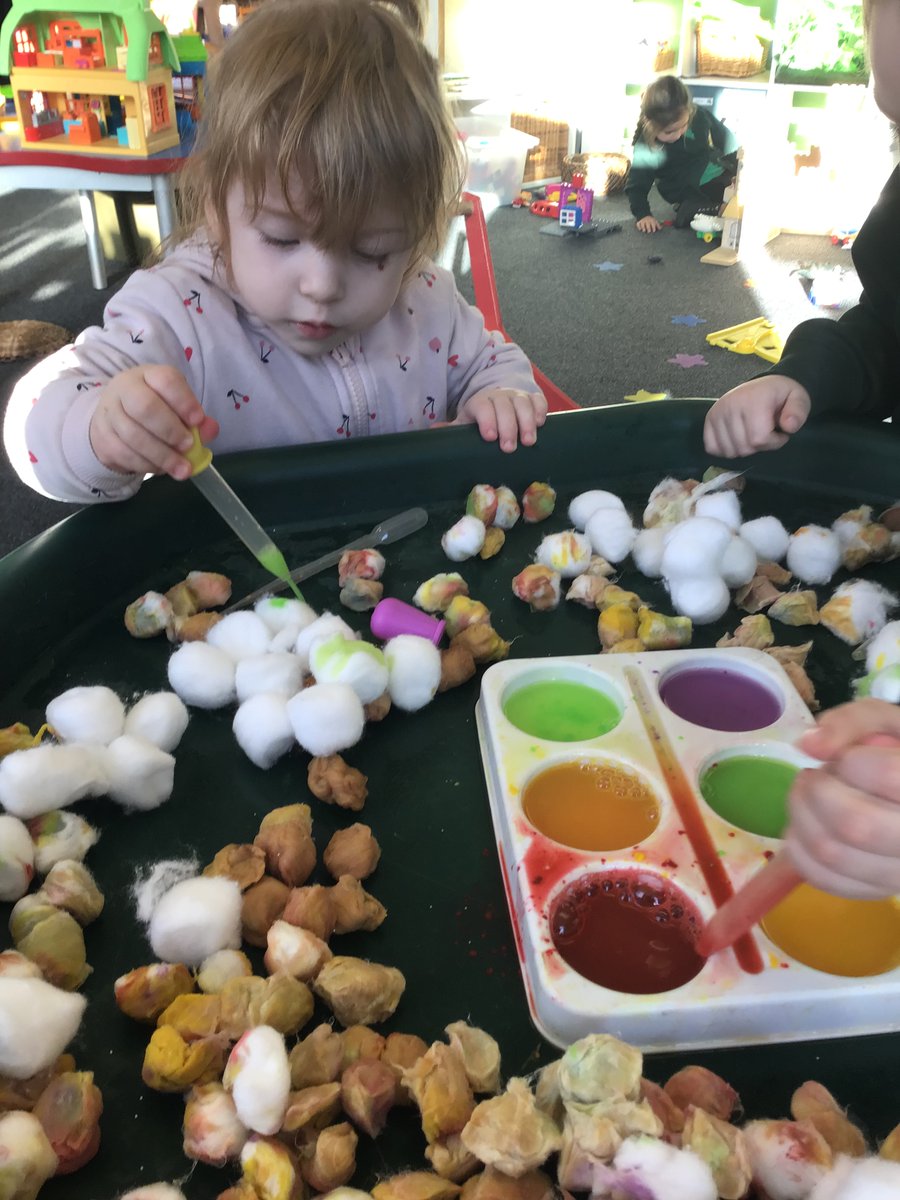 Cygnet Class tweet media