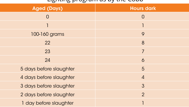 EugeneIradukund's tweet photo. Lighting program and it’s advantages
• Improved Safety and health of the birds
• Better feed conversion because of energy conserved
during resting.
• Reduce mortality rate and skeletal defects.
• Stimulates the production of melatonin.
#FarmWithEugene
#FoodForAll https://t.co/uOGJkh9jyJ