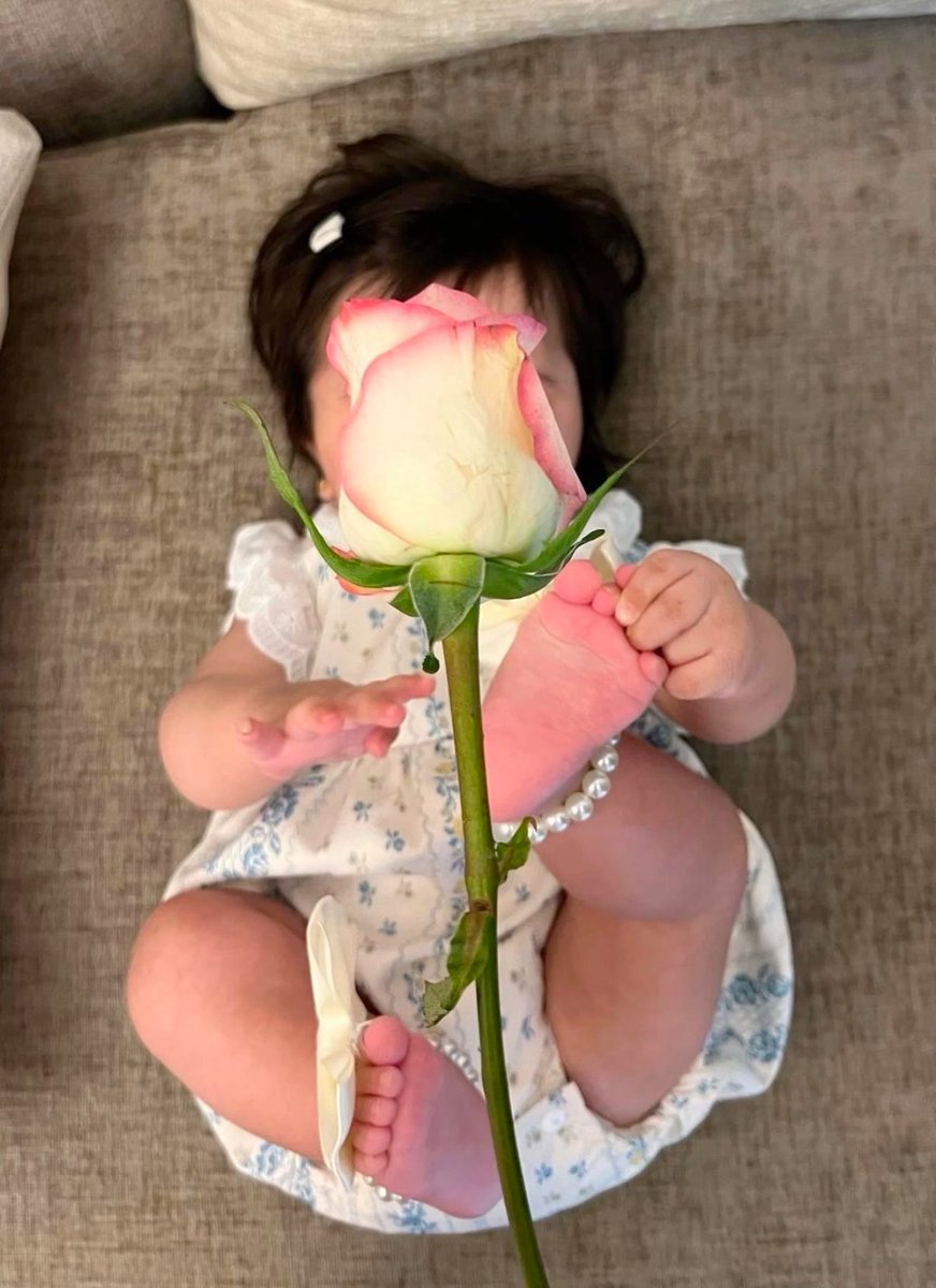 احساس tweet media