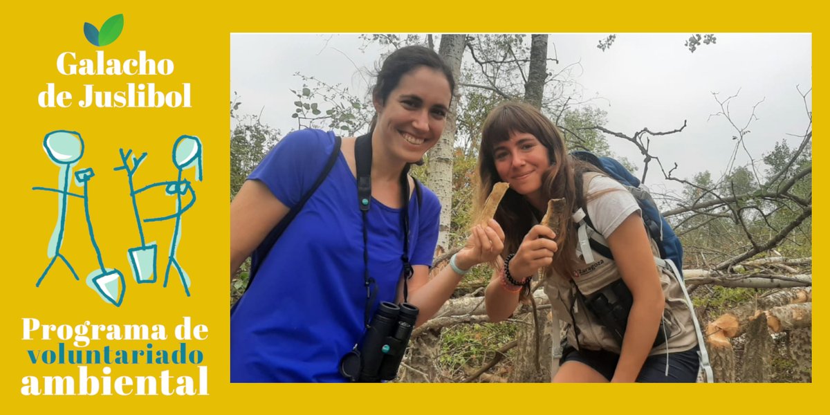 Abierto el periodo de inscripción para el Voluntariado ambiental en el #GalachoDeJuslibol. Solo tienes que ser mayor de edad y participar en 9 jornadas de trabajo a lo largo del año ¡Date prisa! El plazo termina el 26 de enero. Info e inscripciones: zaragoza.es/medioambiente/…