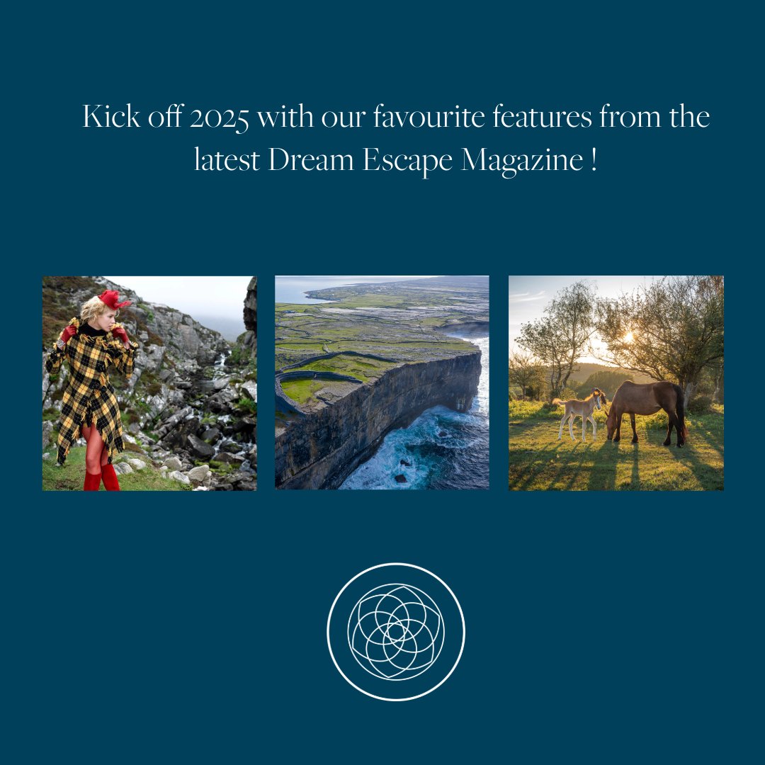 Dream Escape tweet media
