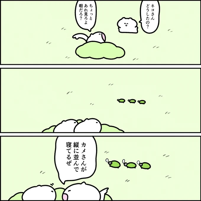 見せたいネコさん 