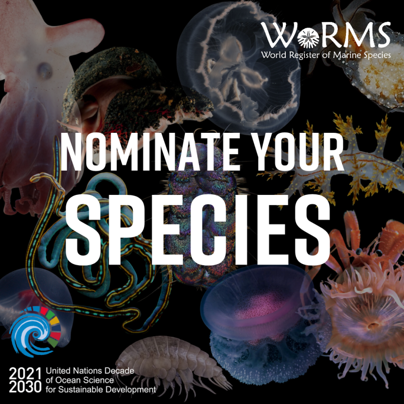 🌊 Got a favorite marine species? Nominate it for the WoRMS Top Ten of 2024! Led by <a href="/VLIZnews/">Flanders Marine Institute - VLIZ</a> and endorsed by the #OceanDecade, <a href="/WRMarineSpecies/">WoRMS</a> aims to provide an authoritative list of marine organism names.

🚨 Apply by: 7 February
🔗 ow.ly/QZ1u50UAojK