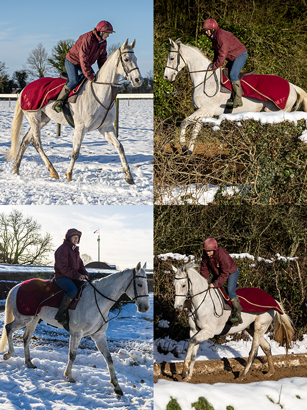 RacingPost's tweet photo. Some stunning pictures of Gentlemansgame on the gallops in snowy conditions 🏇❄️

📸 @patrickmccannrp https://t.co/TPFvrTxITQ