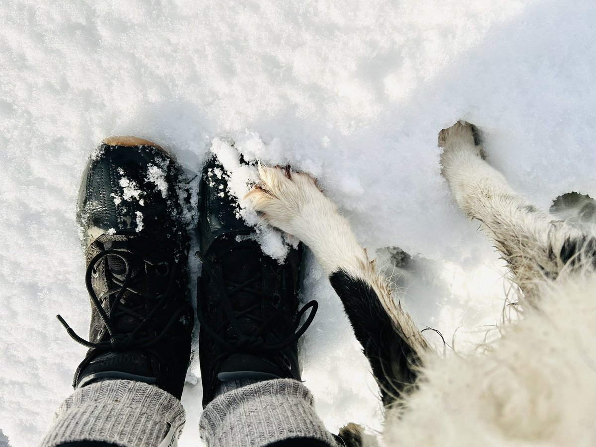 victoria ramsden tweet media