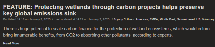 Bryony Collins tweet media