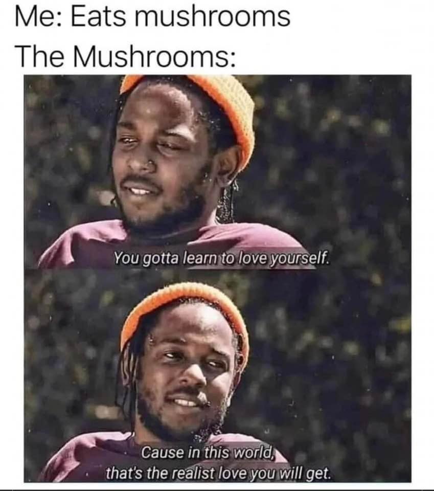 The4thWayYT's tweet image. 