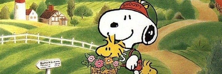 hyperthec's tweet image. TESTIMONI K-spaces update '25
@hyperthec — 🧁