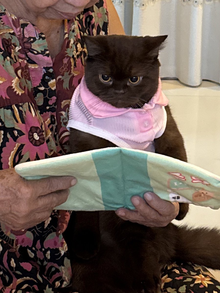 ไฉไล อ่านตามยาย ก ไก่