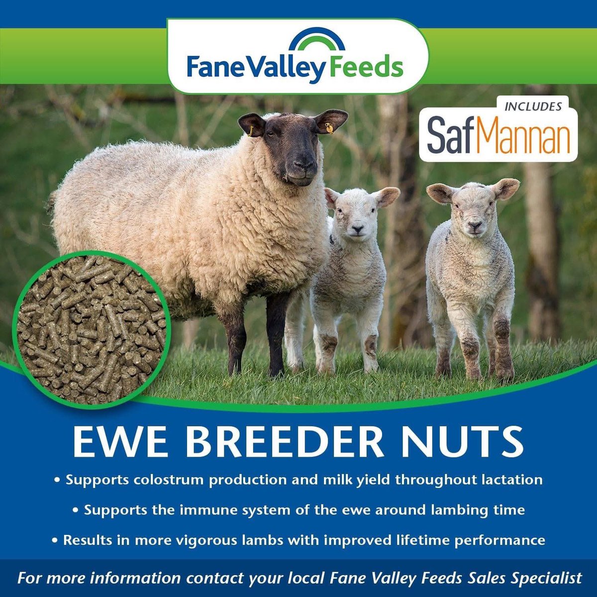🐑🐑 𝐄𝐖𝐄 𝐁𝐑𝐄𝐄𝐃𝐄𝐑 𝐍𝐔𝐓𝐒 🐑🐑
For pre-lambing ewes use our Ewe Breeder Nut feed which will help support colostrum production and milk yield throughout lactation.

Contact your local Fane Valley Feeds Advisor or Stewart on 07442 238048 for expert advice.