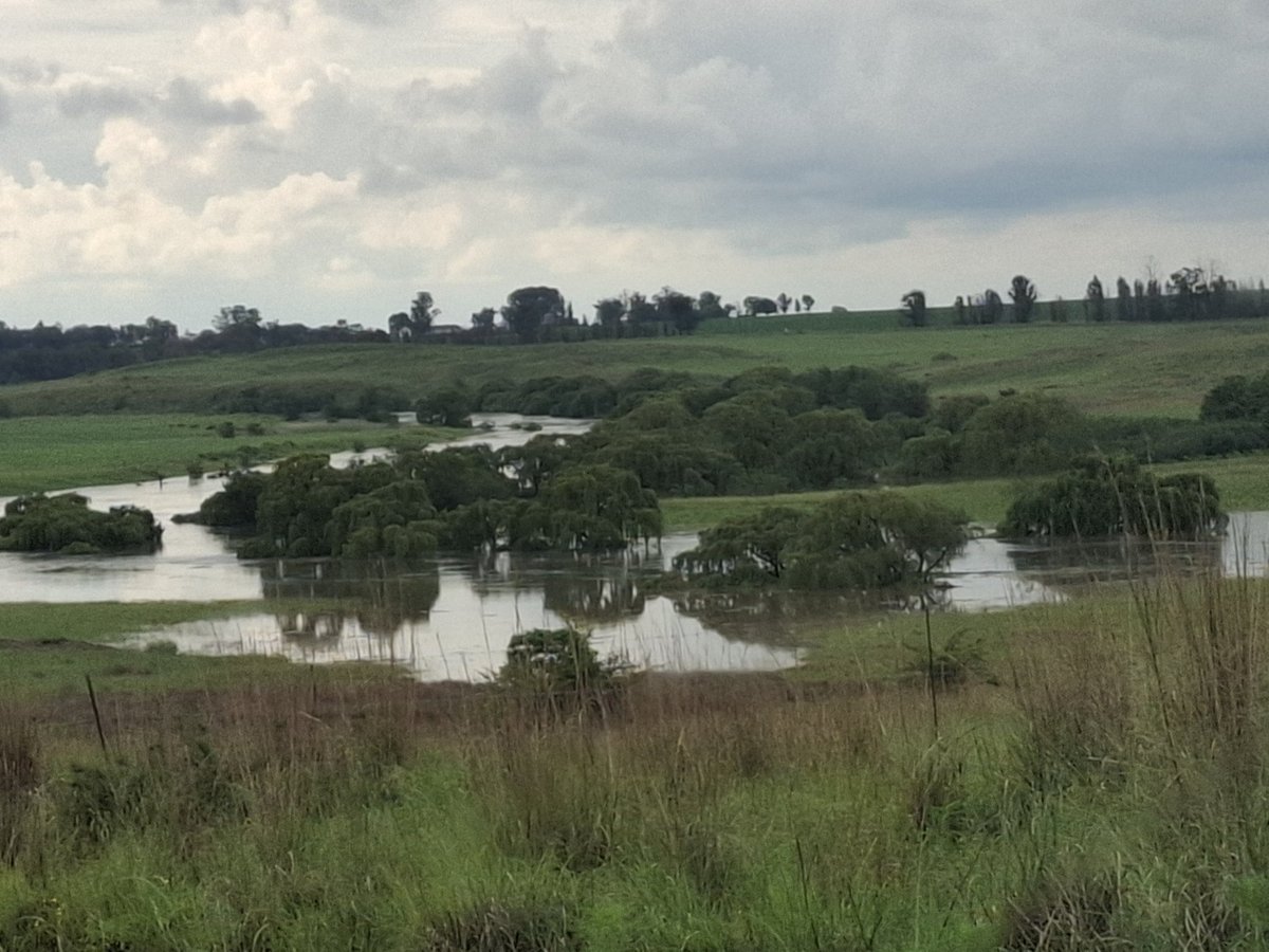 Vaal river on our farm and rising very fast. Standerton.