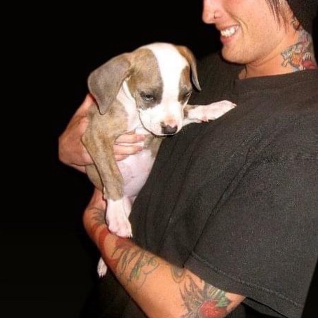 DOCTORdripp tweet media