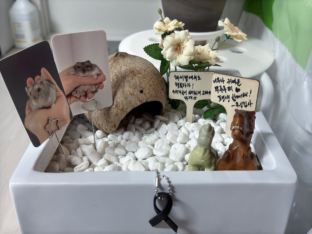 뚜찌빠찌뽀찌 tweet media