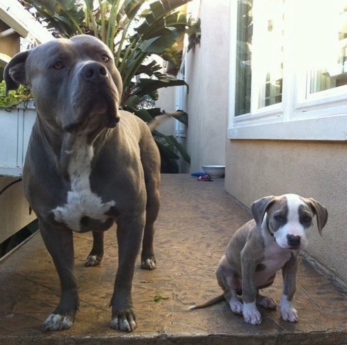 DOCTORdripp tweet media