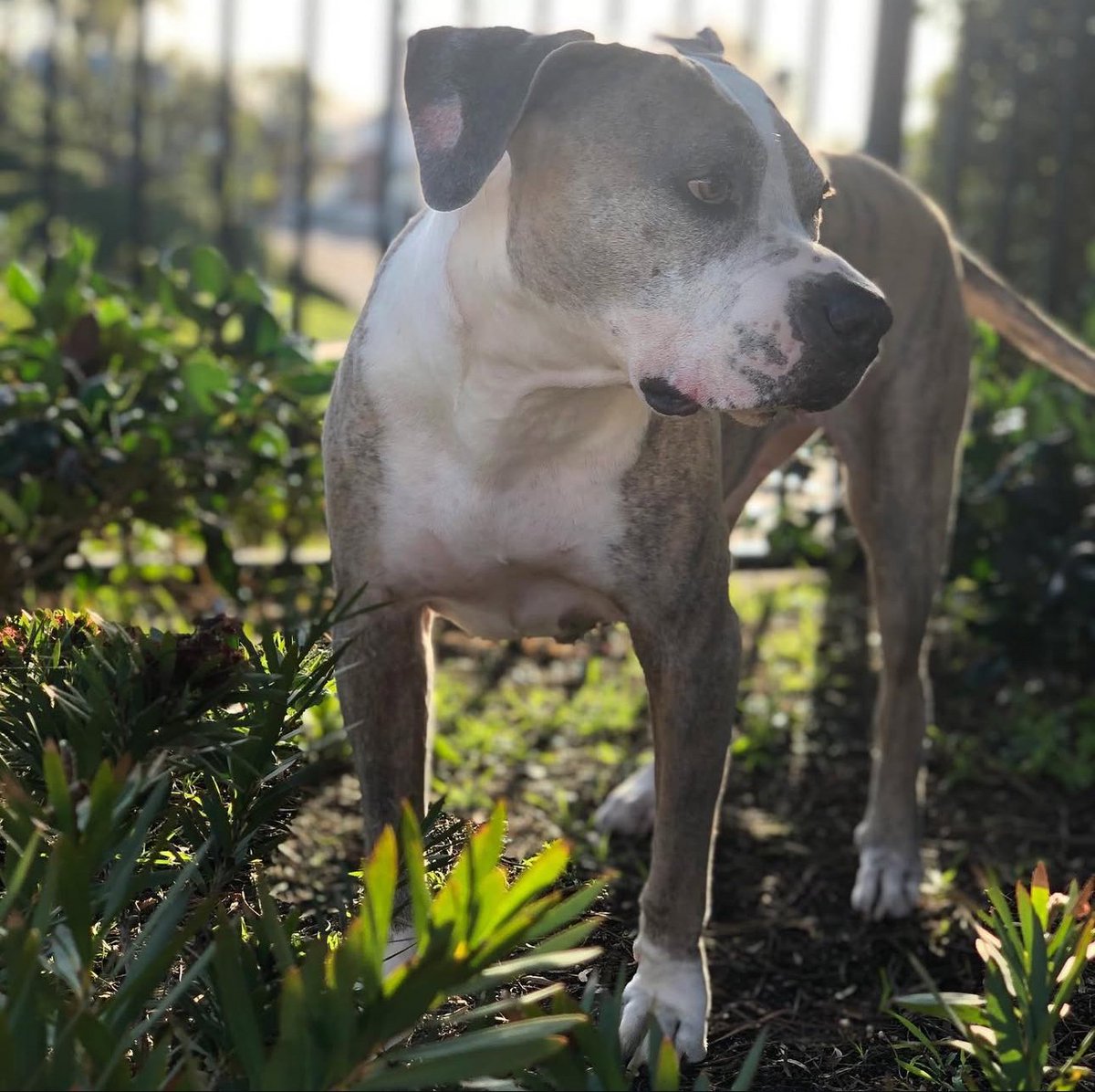 DOCTORdripp tweet media