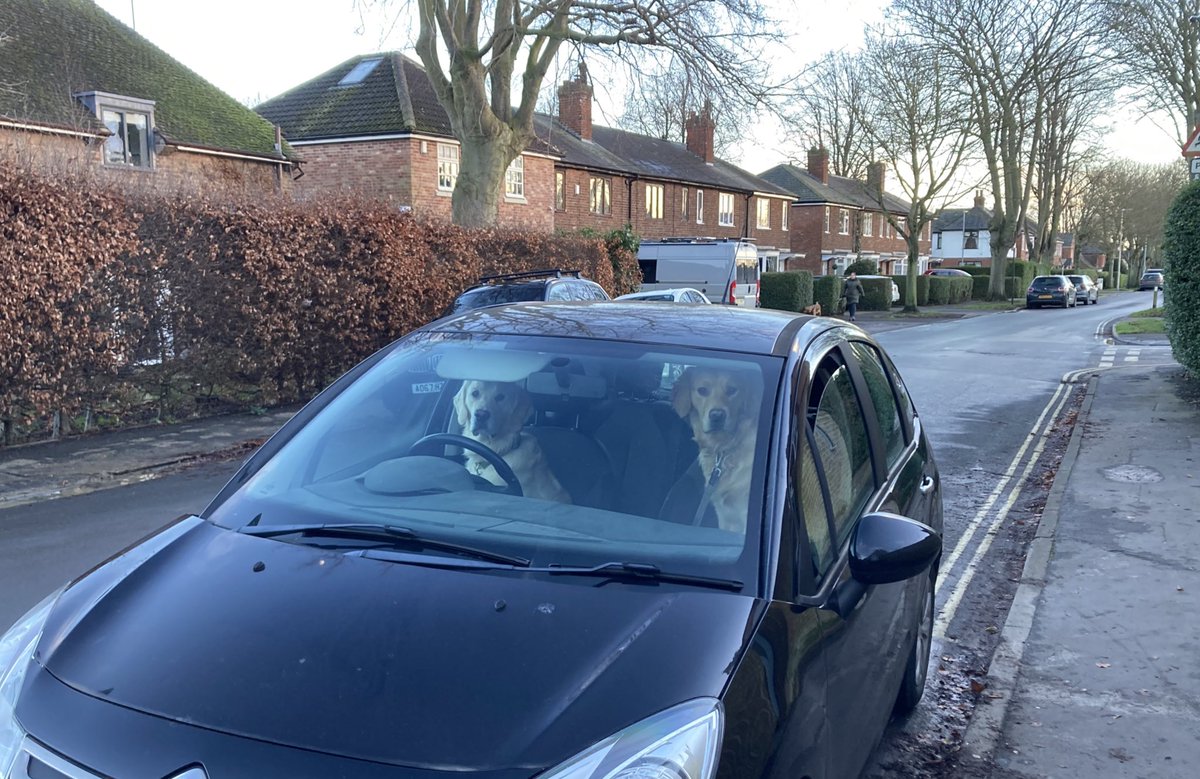 Jo Makel tweet media